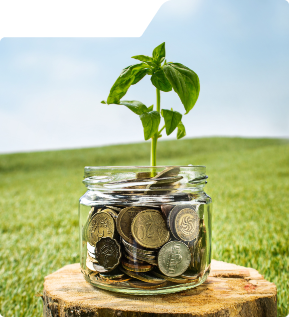 Discover the Arvo Fx Story